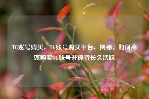 TG账号购买，TG账号购买平台，揭秘，如何高效购买TG账号并保持长久活跃