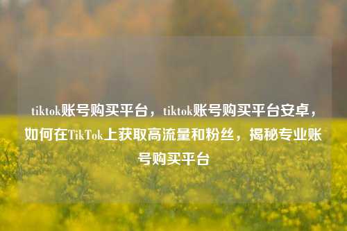 tiktok账号购买平台，tiktok账号购买平台安卓，如何在TikTok上获取高流量和粉丝，揭秘专业账号购买平台