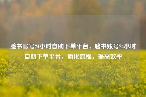 脸书账号24小时自助下单平台，脸书账号24小时自助下单平台，简化流程，提高效率