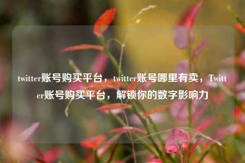 twitter账号购买平台，twitter账号哪里有卖，Twitter账号购买平台，解锁你的数字影响力