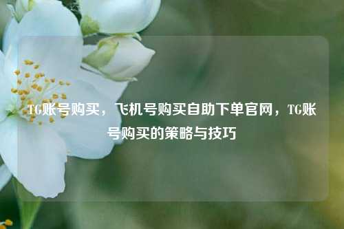 TG账号购买，飞机号购买自助下单官网，TG账号购买的策略与技巧