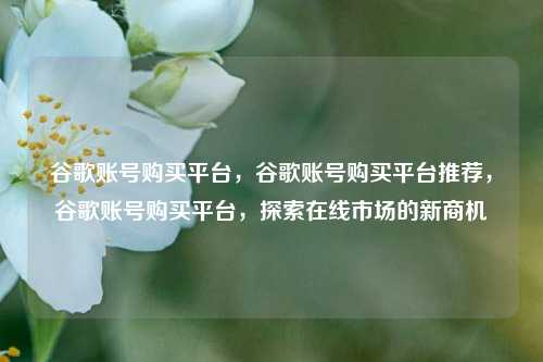 谷歌账号购买平台，谷歌账号购买平台推荐，谷歌账号购买平台，探索在线市场的新商机