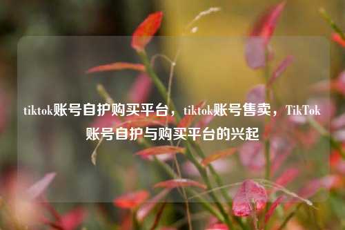 tiktok账号自护购买平台，tiktok账号售卖，TikTok账号自护与购买平台的兴起