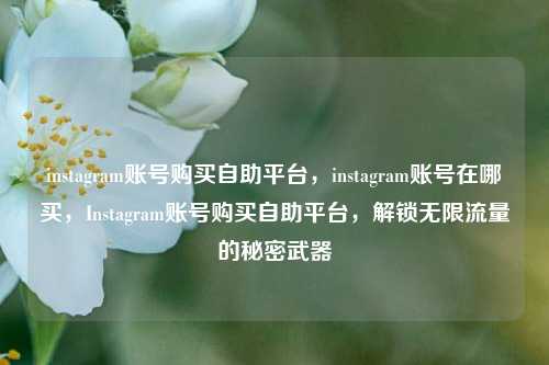 instagram账号购买自助平台，instagram账号在哪买，Instagram账号购买自助平台，解锁无限流量的秘密武器