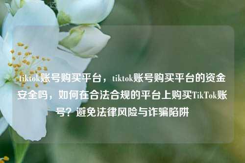 tiktok账号购买平台，tiktok账号购买平台的资金安全吗，如何在合法合规的平台上购买TikTok账号？避免法律风险与诈骗陷阱