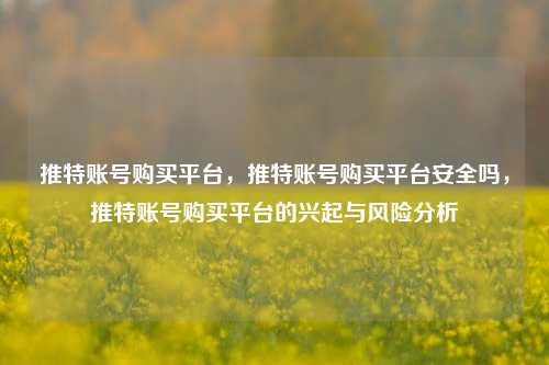 推特账号购买平台，推特账号购买平台安全吗，推特账号购买平台的兴起与风险分析