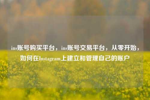 ins账号购买平台，ins账号交易平台，从零开始，如何在Instagram上建立和管理自己的账户