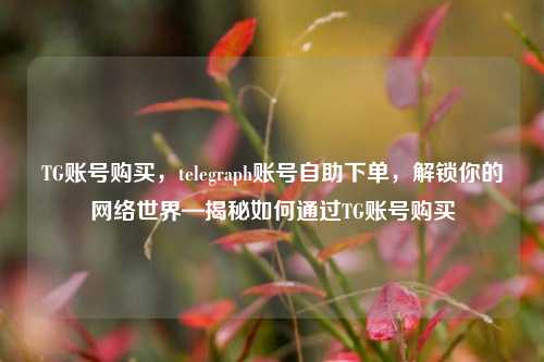 TG账号购买，telegraph账号自助下单，解锁你的网络世界—揭秘如何通过TG账号购买
