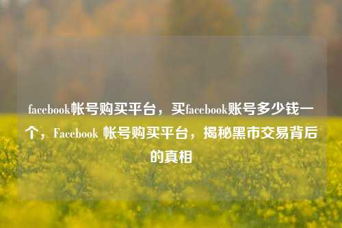 facebook帐号购买平台，买facebook账号多少钱一个，Facebook 帐号购买平台，揭秘黑市交易背后的真相