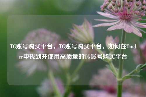 TG账号购买平台	，TG账号购买平台，如何在Tinder中找到并使用高质量的TG账号购买平台  第1张