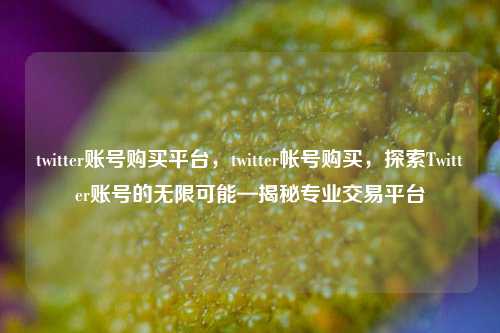 twitter账号购买平台，twitter帐号购买，探索Twitter账号的无限可能—揭秘专业交易平台