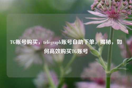 TG账号购买，telegraph账号自助下单，揭秘，如何高效购买TG账号