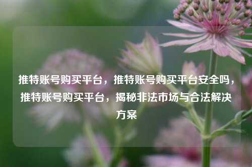 推特账号购买平台，推特账号购买平台安全吗，推特账号购买平台，揭秘非法市场与合法解决方案