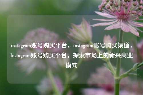 instagram账号购买平台，instagram账号购买渠道，Instagram账号购买平台，探索市场上的新兴商业模式