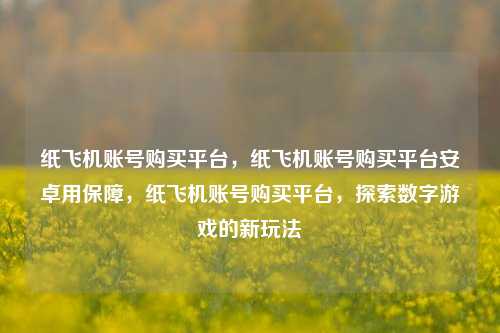 纸飞机账号购买平台，纸飞机账号购买平台安卓用保障，纸飞机账号购买平台，探索数字游戏的新玩法