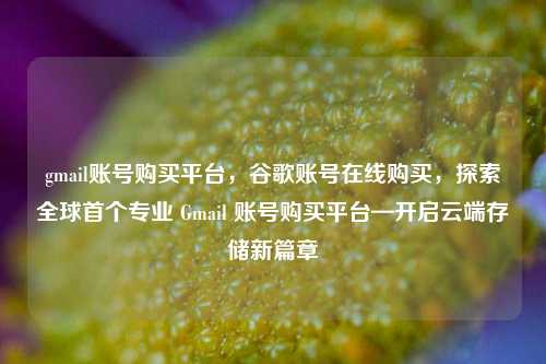 gmail账号购买平台，谷歌账号在线购买，探索全球首个专业 Gmail 账号购买平台—开启云端存储新篇章