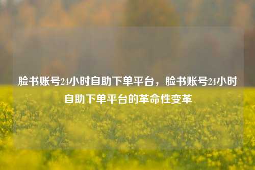 脸书账号24小时自助下单平台，脸书账号24小时自助下单平台的革命性变革