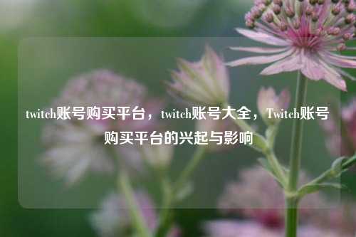 twitch账号购买平台，twitch账号大全，Twitch账号购买平台的兴起与影响