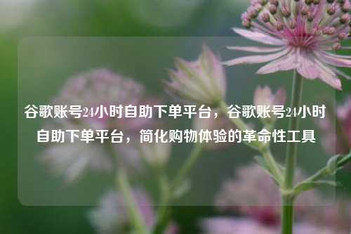 谷歌账号24小时自助下单平台，谷歌账号24小时自助下单平台，简化购物体验的革命性工具