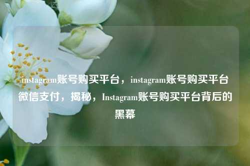 instagram账号购买平台，instagram账号购买平台微信支付，揭秘，Instagram账号购买平台背后的黑幕