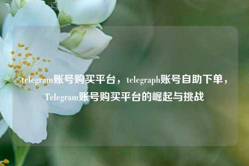 telegram账号购买平台，telegraph账号自助下单，Telegram账号购买平台的崛起与挑战