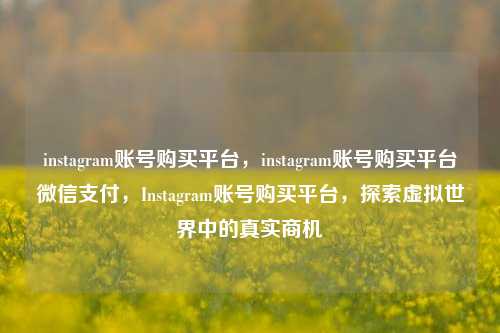 instagram账号购买平台，instagram账号购买平台微信支付	，Instagram账号购买平台，探索虚拟世界中的真实商机  第1张