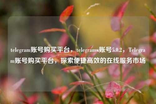 telegram账号购买平台，telegramx账号5.0.2，Telegram账号购买平台，探索便捷高效的在线服务市场