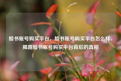 脸书账号购买平台，脸书账号购买平台怎么样，揭露脸书账号购买平台背后的真相