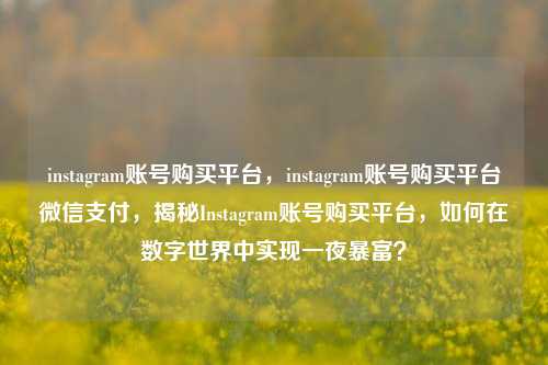 instagram账号购买平台，instagram账号购买平台微信支付，揭秘Instagram账号购买平台，如何在数字世界中实现一夜暴富？