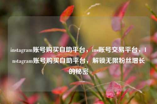 instagram账号购买自助平台，ins账号交易平台，Instagram账号购买自助平台，解锁无限粉丝增长的秘密