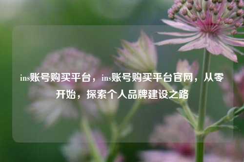 ins账号购买平台	，ins账号购买平台官网，从零开始，探索个人品牌建设之路  第1张