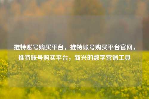 推特账号购买平台，推特账号购买平台官网，推特账号购买平台，新兴的数字营销工具
