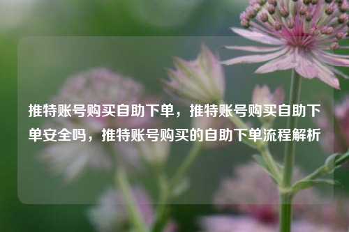 推特账号购买自助下单，推特账号购买自助下单安全吗，推特账号购买的自助下单流程解析