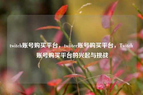 twitch账号购买平台，twiiter账号购买平台，Twitch 账号购买平台的兴起与挑战