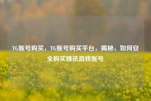 TG账号购买，TG账号购买平台，揭秘，如何安全购买腾讯游戏账号