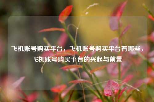 飞机账号购买平台，飞机账号购买平台有哪些，飞机账号购买平台的兴起与前景