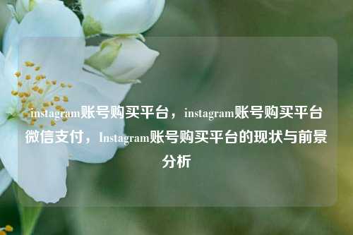 instagram账号购买平台，instagram账号购买平台微信支付，Instagram账号购买平台的现状与前景分析