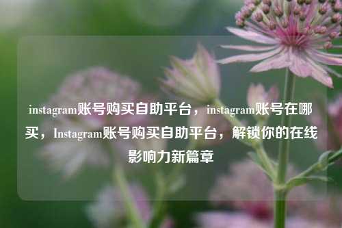 instagram账号购买自助平台，instagram账号在哪买，Instagram账号购买自助平台，解锁你的在线影响力新篇章
