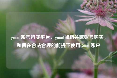 gmail账号购买平台，gmail邮箱谷歌账号购买，如何在合法合规的前提下使用Gmail账户