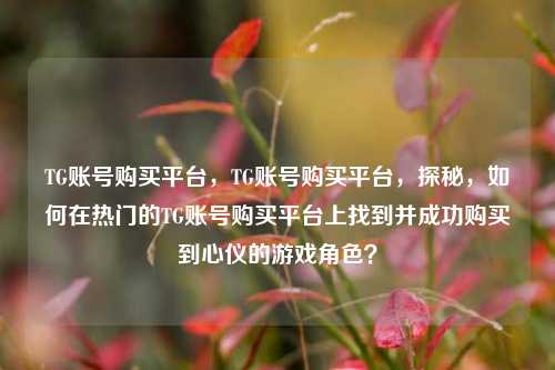 TG账号购买平台，TG账号购买平台，探秘，如何在热门的TG账号购买平台上找到并成功购买到心仪的游戏角色？