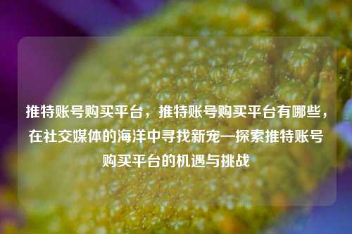 推特账号购买平台，推特账号购买平台有哪些，在社交媒体的海洋中寻找新宠—探索推特账号购买平台的机遇与挑战