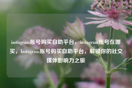 instagram账号购买自助平台，instagram账号在哪买，Instagram账号购买自助平台，解锁你的社交媒体影响力之旅