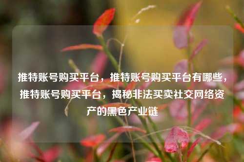 推特账号购买平台，推特账号购买平台有哪些，推特账号购买平台，揭秘非法买卖社交网络资产的黑色产业链  第1张