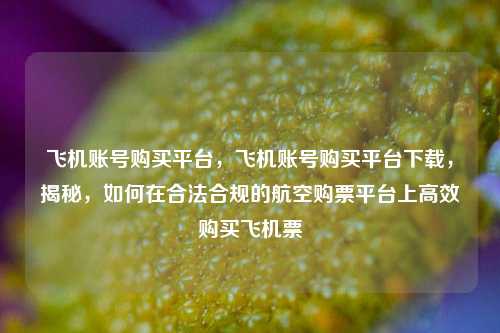 飞机账号购买平台，飞机账号购买平台下载，揭秘，如何在合法合规的航空购票平台上高效购买飞机票