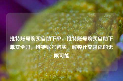推特账号购买自助下单，推特账号购买自助下单安全吗，推特账号购买，解锁社交媒体的无限可能