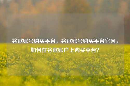谷歌账号购买平台，谷歌账号购买平台官网，如何在谷歌账户上购买平台？
