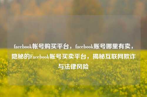 facebook帐号购买平台，facebook账号哪里有卖，隐秘的Facebook帐号买卖平台，揭秘互联网欺诈与法律风险