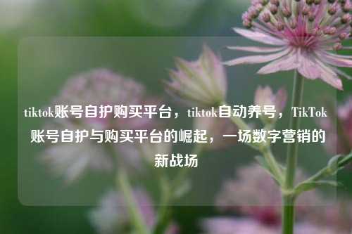 tiktok账号自护购买平台，tiktok自动养号，TikTok 账号自护与购买平台的崛起，一场数字营销的新战场