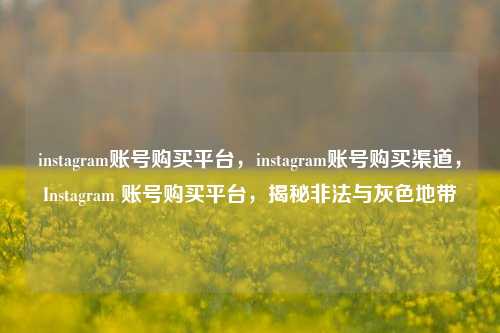 instagram账号购买平台，instagram账号购买渠道，Instagram 账号购买平台	，揭秘非法与灰色地带  第1张