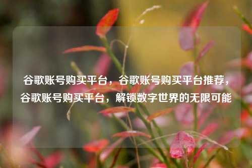 谷歌账号购买平台，谷歌账号购买平台推荐，谷歌账号购买平台，解锁数字世界的无限可能
